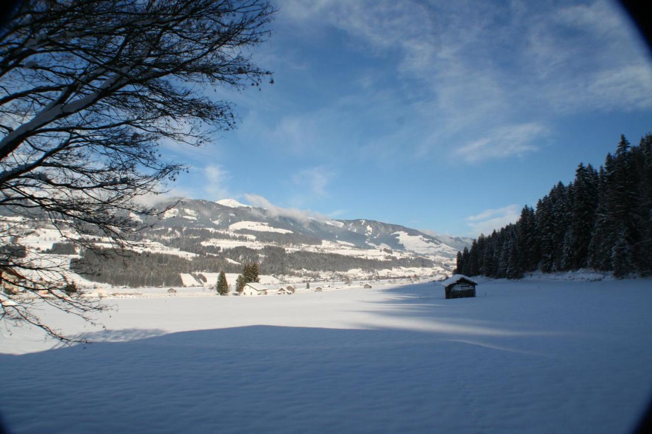 Oase Der Ruhe Apartment Hollersbach im Pinzgau Exterior photo