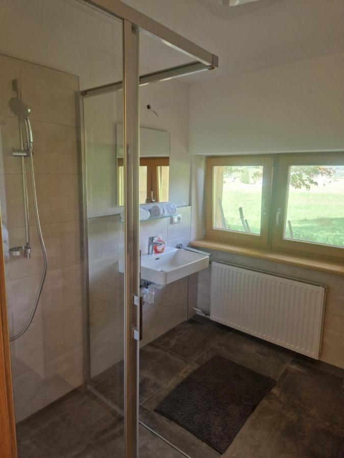 Oase Der Ruhe Apartment Hollersbach im Pinzgau Exterior photo