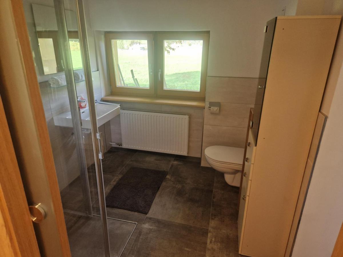 Oase Der Ruhe Apartment Hollersbach im Pinzgau Exterior photo